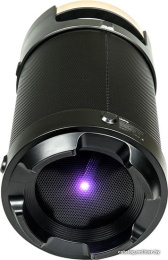 Акустическая портативная колонка Dialog AP-1030 - 4.1, 60W RMS, Bluetooth, FM, Mic In, USB