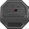 Портативная акустика Rage 50Вт, Light/BT/FM/USB/LED/TWS Defender ,65109