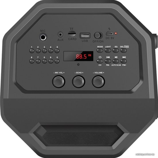 Портативная акустика Rage 50Вт, Light/BT/FM/USB/LED/TWS Defender ,65109