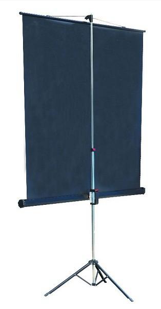 Экран на треноге Lumien 67" 127x127см Master View LMV-100101 1:1 напольный рулонный