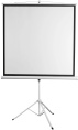 Экран на треноге Digis 135" 248x250см Kontur-D DSKD-1108 1:1 напольный рулонный белый