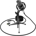 Микрофон Ritmix RDM-160, черный [80000132]