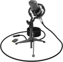 Микрофон Ritmix RDM-160, черный [80000132]