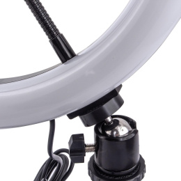 Комплект освещения Rekam RL-20 LED RGB, 71 LED, 20см [2302000036]