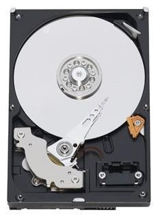 Жесткий диск WD Caviar Blue WD10EZEX,  1ТБ,  HDD,  SATA III,  3.5"