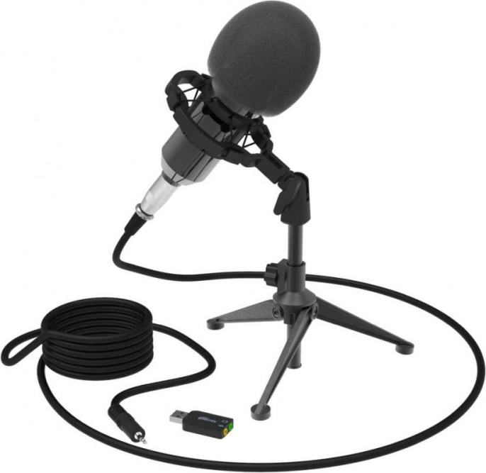 Микрофон Ritmix RDM-160, черный [80000132]