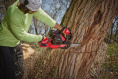 Шина для высотореза Milwaukee M18 FOPH-CSA 10''/25 см (4932480170) (длина цепи: 25 см, толщина: 1.1 мм, шаг цепи: 9.5 мм)