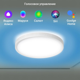 Умный светильник Digma TopLight TL40 потолочный