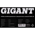 Набор комбинированных трещоточных ключей Gigant в пластиковом кейсе 22 шт GKRC-22
