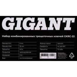 Набор комбинированных трещоточных ключей Gigant в пластиковом кейсе 22 шт GKRC-22