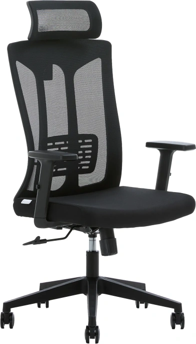 Кресло компьютерное EVOLUTION ErgoLine 4