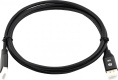 Кабель аудио-видео Cactus CS-DP-DP-1.4-2,  DisplayPort (m) -  DisplayPort (m),  ver 1.4,  2м, GOLD,  черный