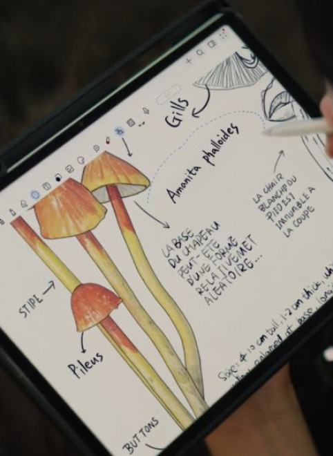 HUAWEI MatePad 12 X PaperMatte: планшет для работы и творчества с «бумажным» дисплеем