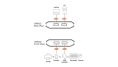 Переключатель электронный ATEN US4322-AT USB, 2 ПК 2 устройства, 2 2 USB A-тип, Female, со шнурами A-A 2х1.5м., USB 3.2 Gen1