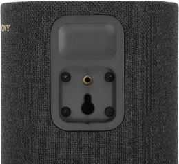 Тыловая колонка Sony SA-RS5, 2 колонки в комплекте , черный