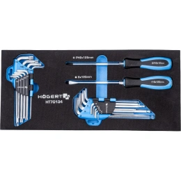 Набор отверток, ключи HEX и TORX 20 шт., ложемент EVA HOEGERT TECHNIK HT7G134