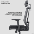 Кресло компьютерное EVOLUTION ERGO BLISS Black