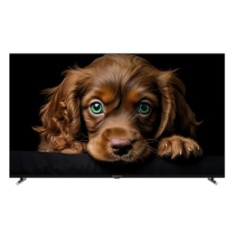 Topdevice 55" TDTV55CQ09U_BK {UHD/VA-QLED/Smart GTV/2-16Gb/BT/Black}