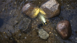 Фонарь Armytek Elf C1 USB-C Белый (F05003C)