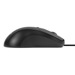 Мышь ExeGate Professional Standard B100 (USB, оптическая, 1000dpi, 3D, 3 кнопки и колесо прокрутки, длина кабеля 1,5м, черная, Color Box) EX298195RUS