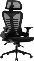 Кресло компьютерное EVOLUTION HarmonySpine