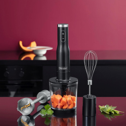 Блендер Rondell RDE-1301,  погружной,  серебристый