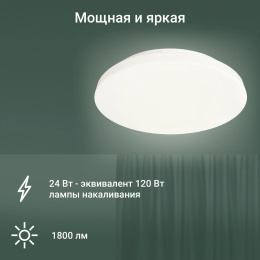 Умный светильник Digma TopLight TL25 потолочный