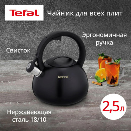 Чайник металлический Tefal Intuition N4180417 2.5л. черный 3110601825