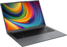 Ноутбук Digma EVE C5805, 16", IPS, Intel N100 0.8ГГц, 4-ядерный, 8ГБ DDR5, 256ГБ SSD,  Intel UHD Graphics, Windows 11 Pro,  темно-серый [dn16n1-8cxw01]