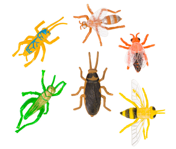 Набор исследователя Levenhuk Discovery Basics EK90