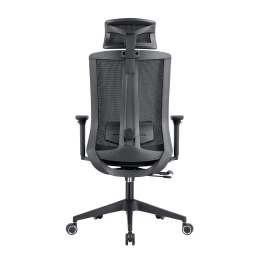 Кресло компьютерное EVOLUTION ERGO BLISS Black