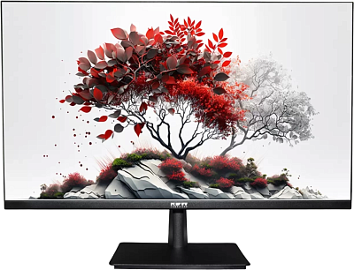 Монитор RDW Computers 27" RDW2701K_Q00B0 черный IPS 5ms 16:9 HDMI матовая 1000:1 250cd 178гр/178гр 2560x1440 VGA DP QHD (RUS)