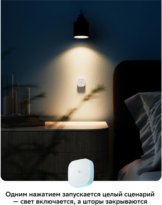 Умная кнопка SBER SBDV-00032,  р.д.22м,  белый