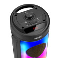 Ginzzu GM-231, Акустическая система Midi, TWS/BT/USB/TF/FM/ДУ
