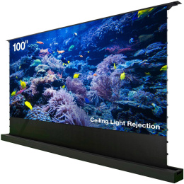 Экран Cactus FloorRising CS-PSFRCLR-221X125,  221х125 см, 16:9,  напольный черный