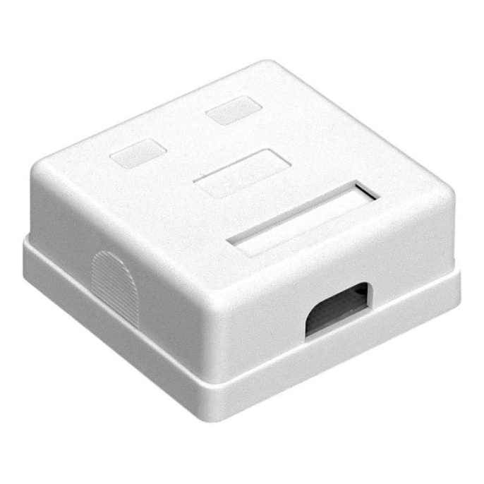 Розетка внешняя двойная ExeGate SM2-RJ45-C6 RJ-45 кат.6 UTP Krone/110 EX292845RUS