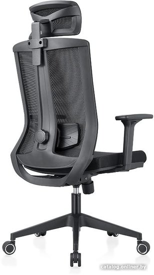Кресло компьютерное EVOLUTION ERGO BLISS Black