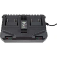 Зарядное устройство TRUEGREEN TG8M250