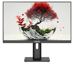 Монитор RDW2401K 1920x1080 FHD IPS 100Hz 5мс 178°/178 250cd 1000:1 VGA HDMI DP 1*USB-B, 4*USB-A Рег. по высоте, Портретный режим, Поворот вокруг своей оси Наклон, внешний БП, Динамики, VVESA 100*100, МПТ
