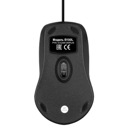 Мышь ExeGate Professional Standard B100L (USB, оптическая, 1000dpi, 3D, 3 кнопки и колесо прокрутки, длина кабеля 2м, черная, Color Box) EX298196RUS