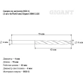 Сверло по металлу HSS-G 2 шт; 4х75х43 мм Gigant DBM 11125