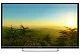 Телевизор LED PolarLine 32" 32PL53TC-SM черный/FULL HD/50Hz/DVB-T/DVB-T2/DVB-C/USB/WiFi/Smart TV (RUS)