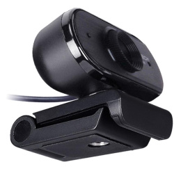 Web-камера A4TECH PK-825P,  черный