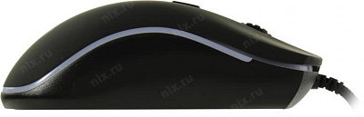 Манипулятор QUMO Optical Mouse Onyx RGB M73 (RTL) USB 4btn+Roll 30567