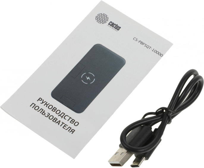 Внешний аккумулятор (Power Bank) Cactus CS-PBFSQT-10000,  10000мAч,  черный