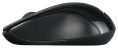 Мышь беспроводная ACER OMR131 черный (USB, 1000dpi, 3but) (ZL.MCEEE.01E)