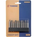 Набор бит (10 шт; PH-PZ-SL-Torx; 50 мм; CrV) ТУНДРА 2270981
