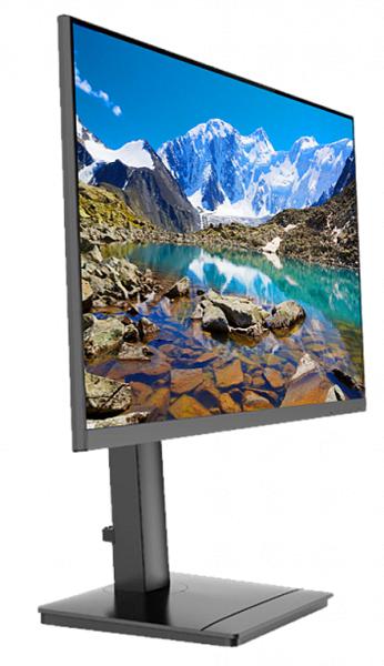 Монитор 23.8'' Fplus MO-24F129-HD 16:9 1920х1080 FHD IPS, 75 Hz, 350cd/m2, H178°/V178°, 1000:1, 10M:1, 16.7M, 5ms, VGA, HDMI, DP, USB-Hub, Pivot, Tilt, Swivel, Speakers, Audio out, 2Y, Black МИНПРОМТОРГ