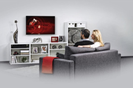 Кронштейн для телевизора HAMA 00220805, 19-48", настенный, фиксированный,  черный