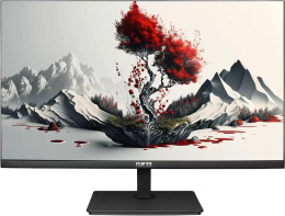 23.8" Монитор RDW COMPUTERS RDW2401K,  "R", 1920x1080,  IPS,  100Гц,  1хHDMI,  1хDP,  черный [2401k/f00b0100v2a1h]